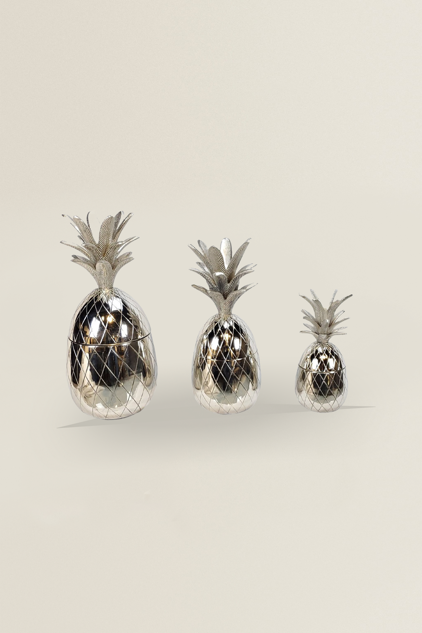 Ananas Set Zilver